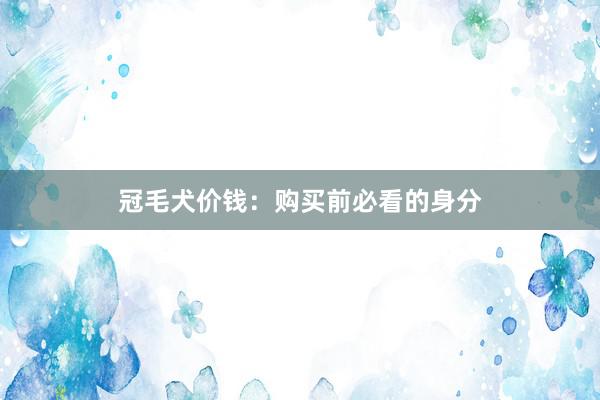 冠毛犬价钱：购买前必看的身分